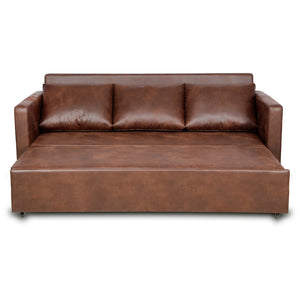 Arbor Brown Sofa Cum Bed (7477364129956)